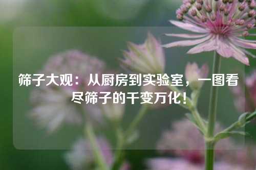 筛子大观:从厨房到实验室,一图看尽筛子的千变万化!