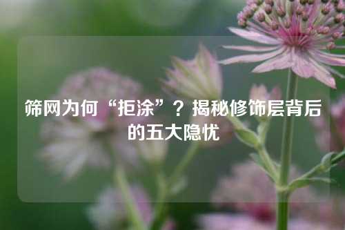 筛网为何“拒涂”?揭秘修饰层背后的五大隐忧