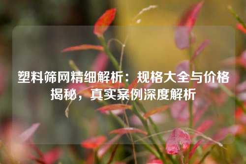 塑料筛网精细解析:规格大全与价格揭秘,真实案例深度解析