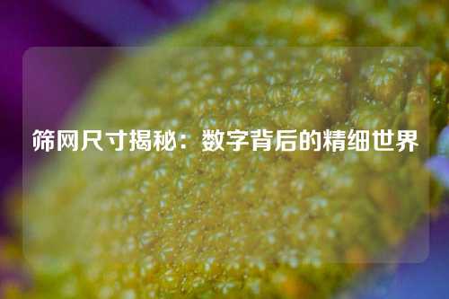 筛网尺寸揭秘：数字背后的精细世界
