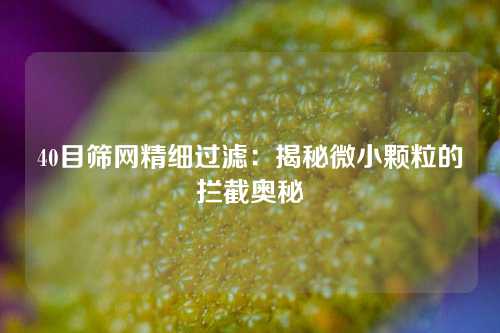 40目筛网精细过滤：揭秘微小颗粒的拦截奥秘