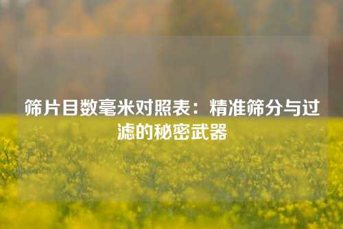 筛片目数毫米对照表：精准筛分与过滤的秘密武器