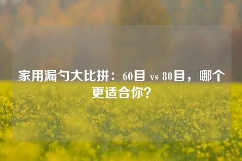 家用漏勺大比拼：60目 vs 80目，哪个更适合你？