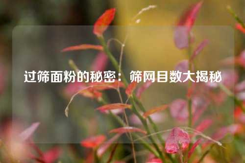 过筛面粉的秘密:筛网目数大揭秘