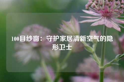 100目纱窗：守护家居清新空气的隐形卫士