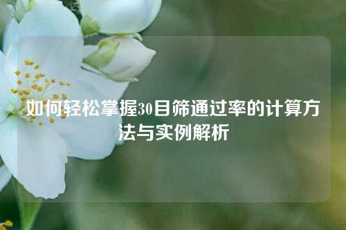 如何轻松掌握30目筛通过率的计算方法与实例解析