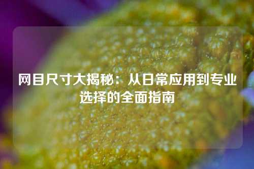 网目尺寸大揭秘：从日常应用到专业选择的全面指南