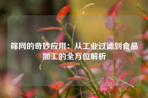 筛网的奇妙应用：从工业过滤到食品加工的全方位解析