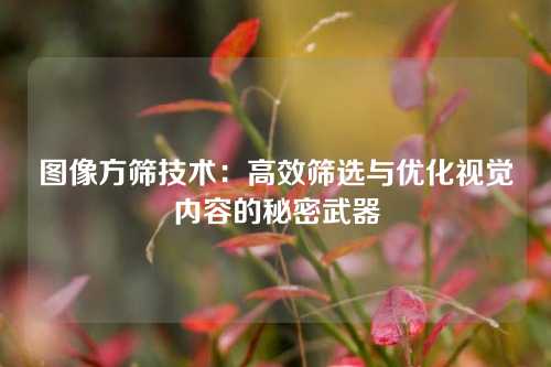 图像方筛技术：高效筛选与优化视觉内容的秘密武器