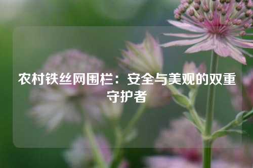 农村铁丝网围栏：安全与美观的双重守护者