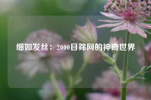 细如发丝：2000目筛网的神奇世界