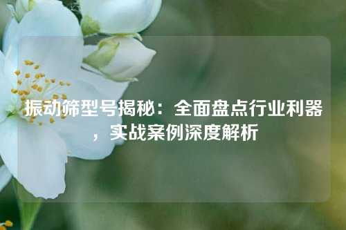 振动筛型号揭秘：全面盘点行业利器，实战案例深度解析