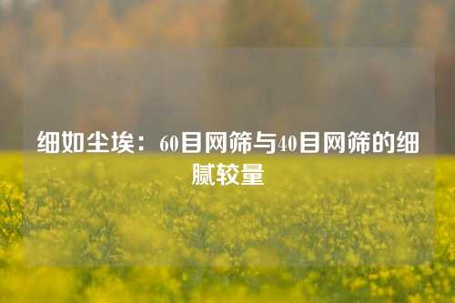 细如尘埃：60目网筛与40目网筛的细腻较量