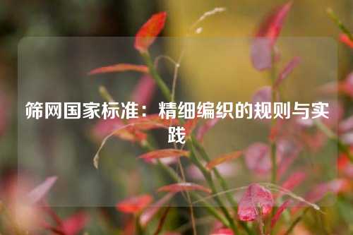 筛网国家标准：精细编织的规则与实践