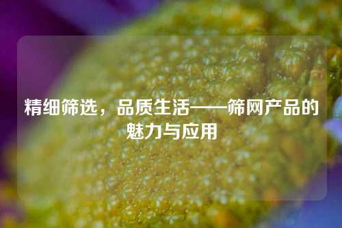 精细筛选，品质生活——筛网产品的魅力与应用