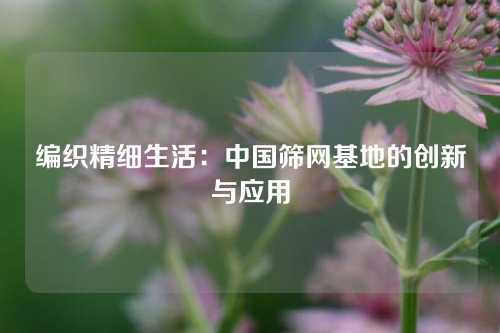 编织精细生活：中国筛网基地的创新与应用