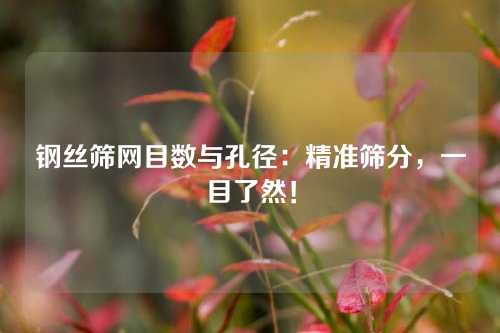 钢丝筛网目数与孔径：精准筛分，一目了然！