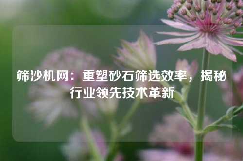 筛沙机网：重塑砂石筛选效率，揭秘行业领先技术革新