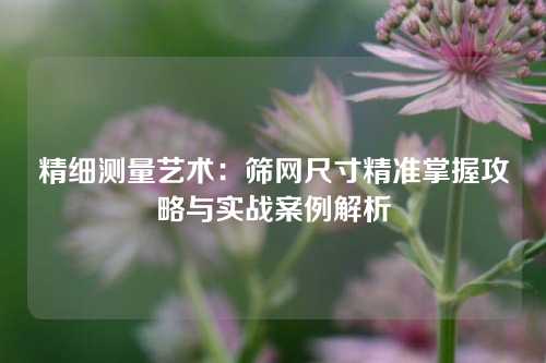 精细测量艺术：筛网尺寸精准掌握攻略与实战案例解析