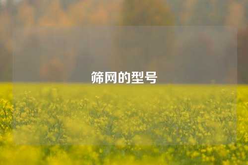 筛网的型号