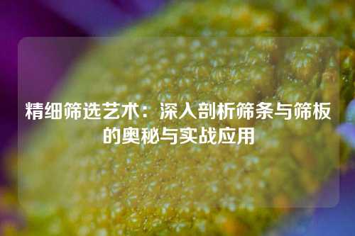 精细筛选艺术：深入剖析筛条与筛板的奥秘与实战应用
