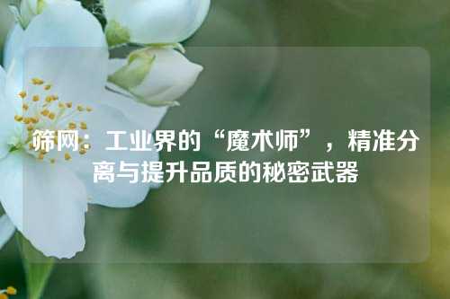 筛网：工业界的“魔术师”，精准分离与提升品质的秘密武器