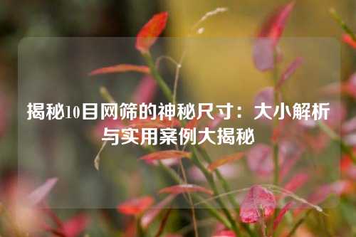 揭秘10目网筛的神秘尺寸：大小解析与实用案例大揭秘