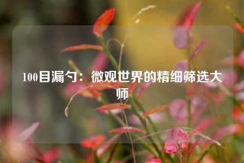 100目漏勺：微观世界的精细筛选大师