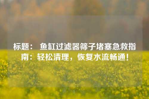 标题: 鱼缸过滤器筛子堵塞急救指南:轻松清理,恢复水流畅通!