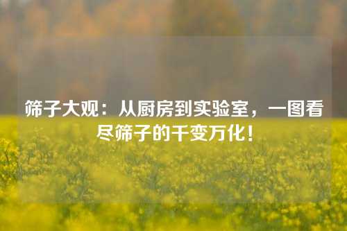 筛子大观:从厨房到实验室,一图看尽筛子的千变万化!