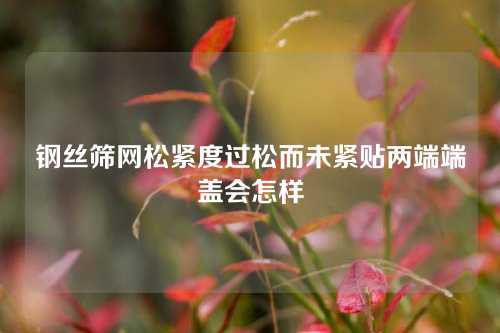 钢丝筛网松紧度过松而未紧贴两端端盖会怎样