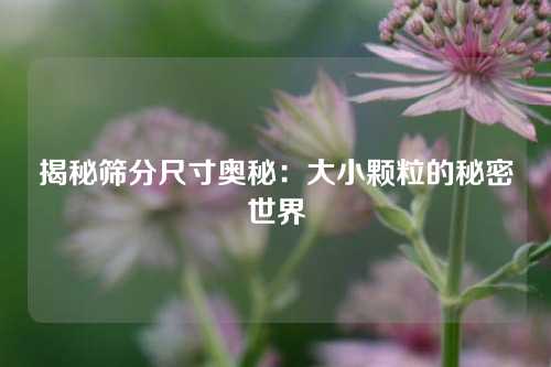 揭秘筛分尺寸奥秘：大小颗粒的秘密世界