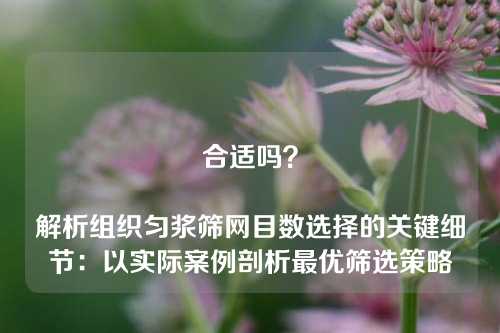 合适吗？

解析组织匀浆筛网目数选择的关键细节：以实际案例剖析最优筛选策略