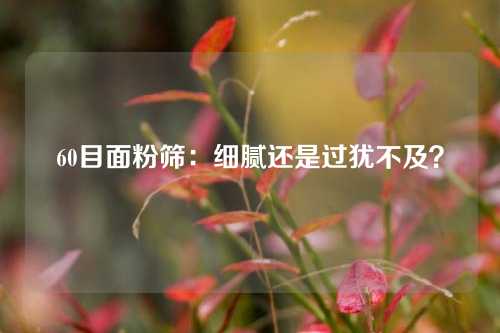 60目面粉筛：细腻还是过犹不及？