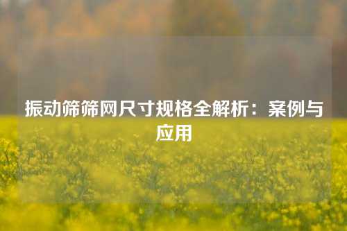 振动筛筛网尺寸规格全解析：案例与应用