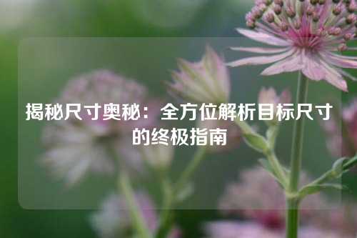 揭秘尺寸奥秘:全方位解析目标尺寸的终极指南