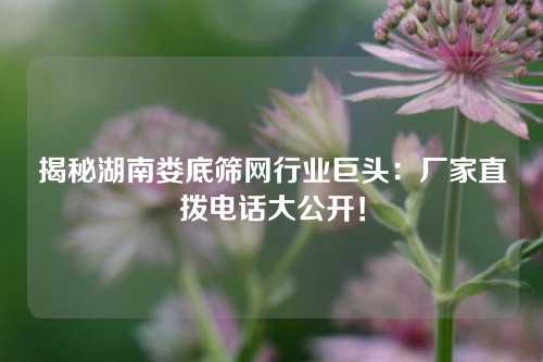 揭秘湖南娄底筛网行业巨头：厂家直拨电话大公开！