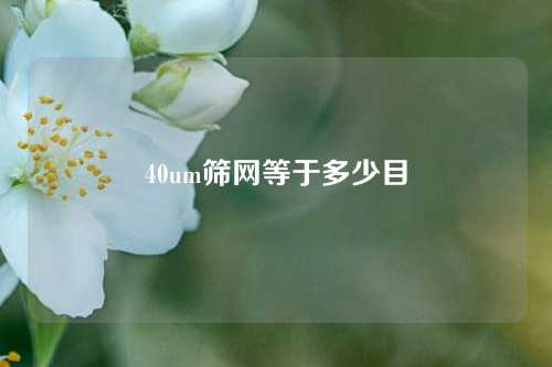40um筛网等于多少目