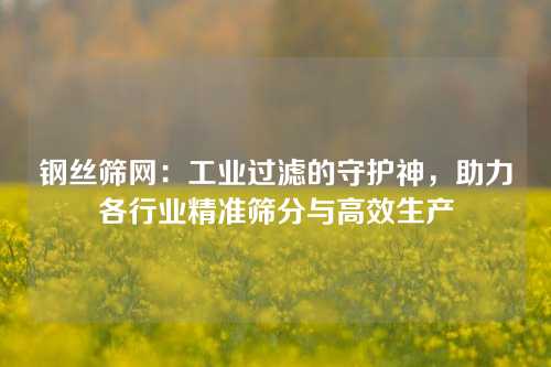 钢丝筛网：工业过滤的守护神，助力各行业精准筛分与高效生产