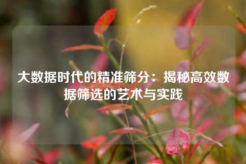 大数据时代的精准筛分：揭秘高效数据筛选的艺术与实践