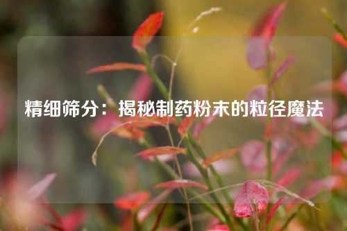 精细筛分:揭秘制药粉末的粒径魔法
