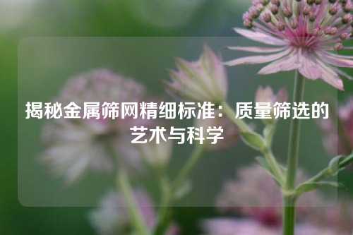 揭秘金属筛网精细标准：质量筛选的艺术与科学
