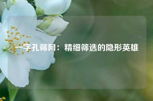 一字孔筛网：精细筛选的隐形英雄