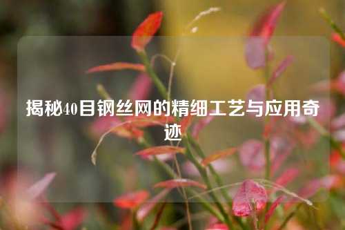 揭秘40目钢丝网的精细工艺与应用奇迹