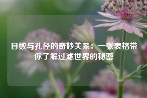 目数与孔径的奇妙关系：一张表格带你了解过滤世界的秘密