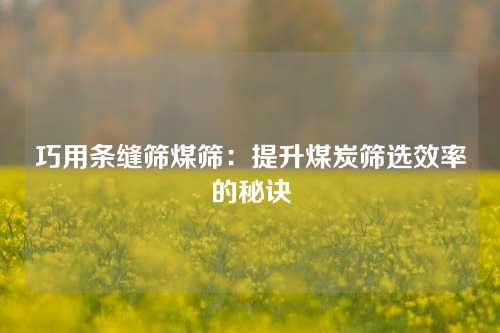 巧用条缝筛煤筛：提升煤炭筛选效率的秘诀