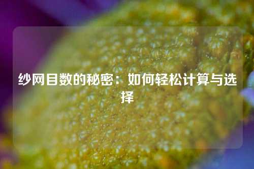 纱网目数的秘密:如何轻松计算与选择