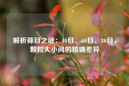 解析筛目之谜:40目、60目、80目,颗粒大小间的精确差异