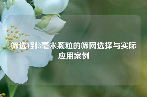 筛选1到3毫米颗粒的筛网选择与实际应用案例
