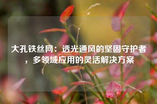 大孔铁丝网:透光通风的坚固守护者,多领域应用的灵活解决方案